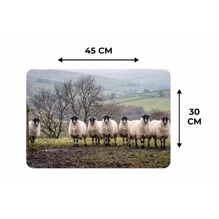 Schapen - Rij - Weide - Dieren - Platteland Placemat vinyl groot -specs