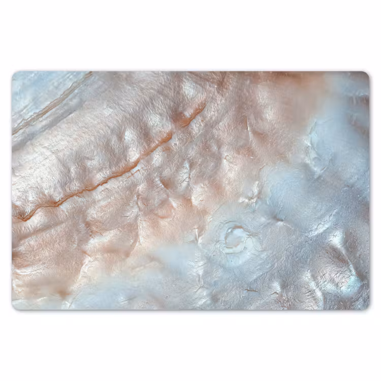 Schelpen - Abstract - Natuur Placemat vinyl groot -zzsfeer1_Kitchenyeah-website