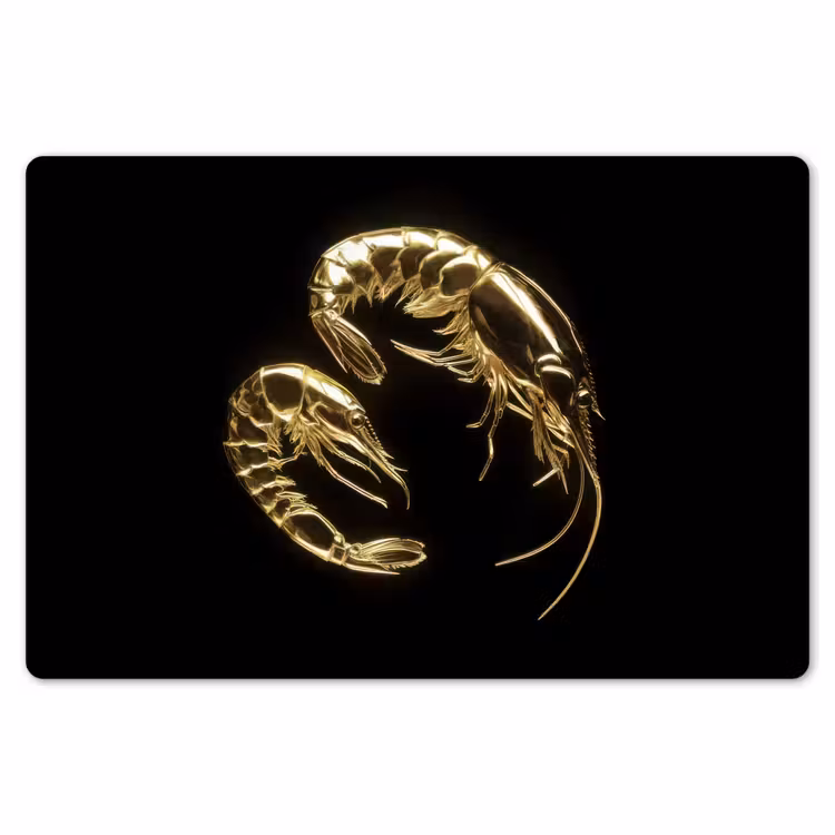 Garnalen - Zwart - Goud - Dieren Placemat vinyl groot -zzsfeer1_Kitchenyeah-website