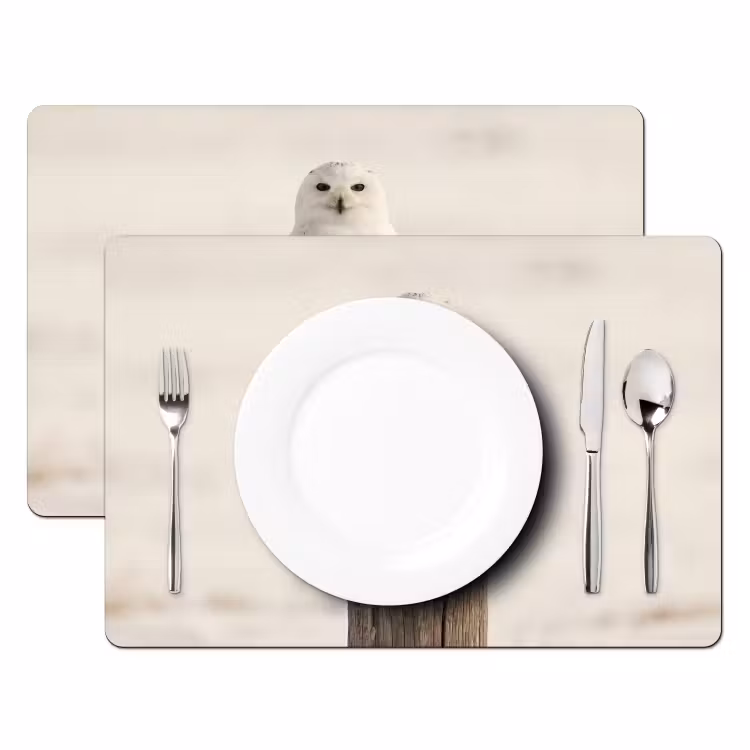 Sneeuwuil - Paal - Winter - Portret - Majestueus Placemat vinyl groot -zzsfeer2_Kitchenyeah-website