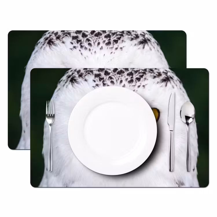 Sneeuwuil - Portret - Geel Placemat vinyl groot -zzsfeer2_Kitchenyeah-website