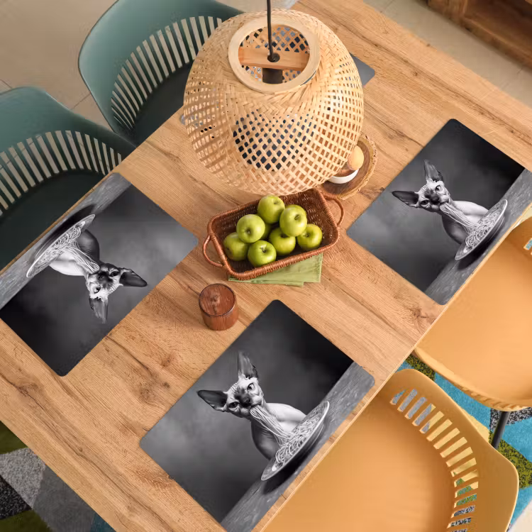 Sphynx - Kat - Dieren - Humor - Spaghetti - Zwart Wit Placemat vinyl groot -zzsfeer5_Kitchenyeah-website