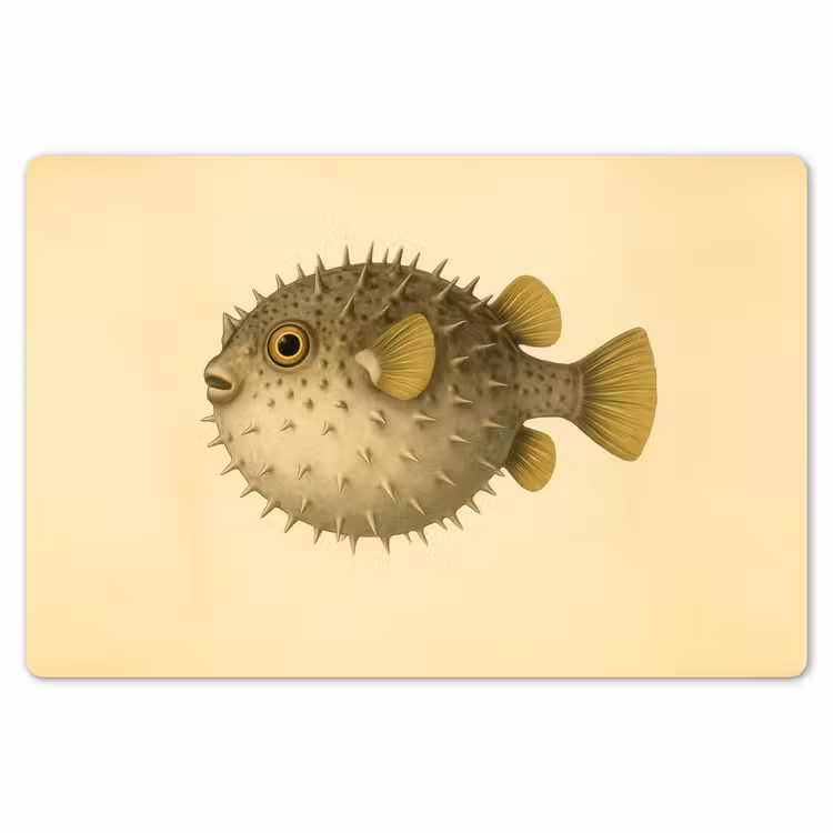 Stekels - Vis - Opgeblazen - Bruin Placemat vinyl groot -zzsfeer1_Kitchenyeah-website