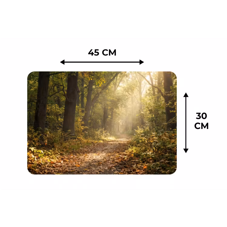 Zonlicht - Bospad - Bomen Placemat vinyl groot -specs