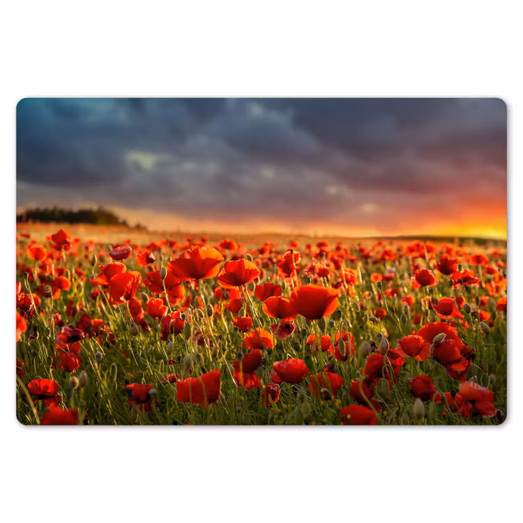 Zonsondergang - Klaprozen - Rood - Bloemen - Veld - Natuur Placemat vinyl groot -zzsfeer1_Kitchenyeah-website