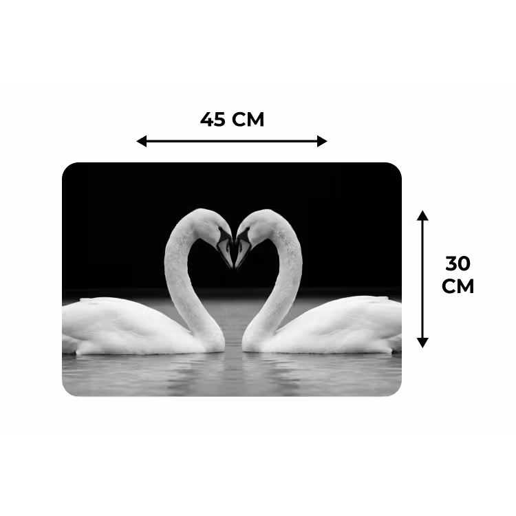 Zwanen - Hart - Zwart - Wit Placemat vinyl groot -specs