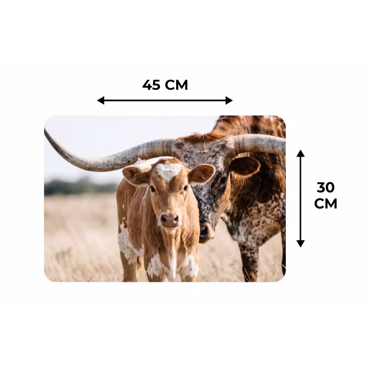 Texas Longhorn - Kalf - Weide - Dieren Placemat vinyl groot -specs