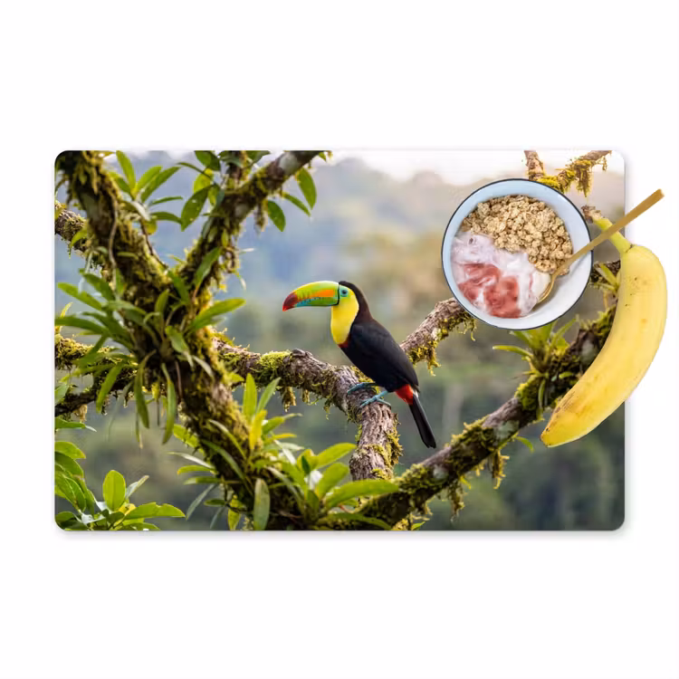 Toekan - Jungle - Natuur - Kleurrijk Placemat vinyl groot -zzzproduct_Kitchenyeah-website