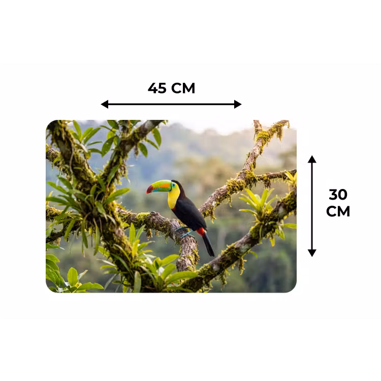 Toekan - Jungle - Natuur - Kleurrijk Placemat vinyl groot -specs