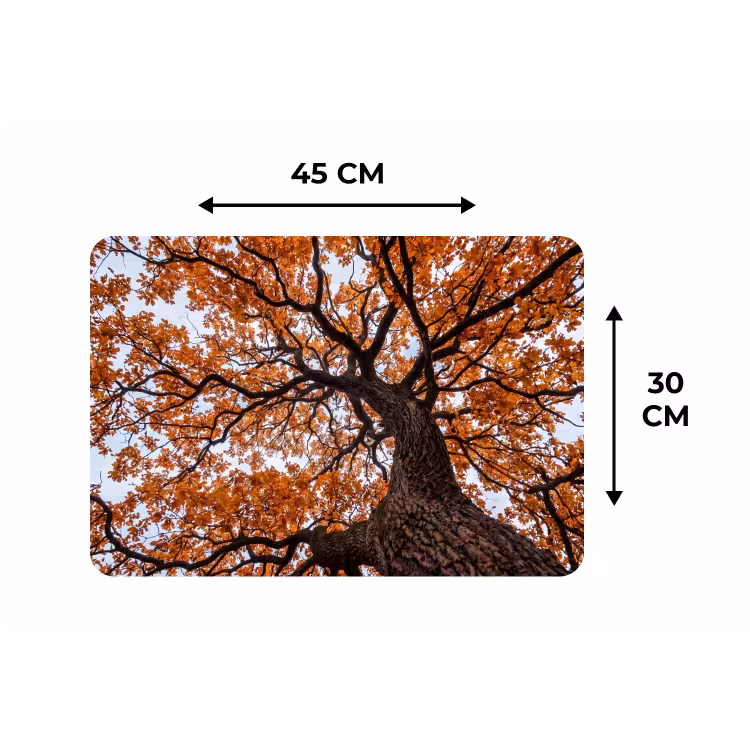 Boom - Bladerdak - Herfst - Oranje - Sfeervol Placemat vinyl groot -specs