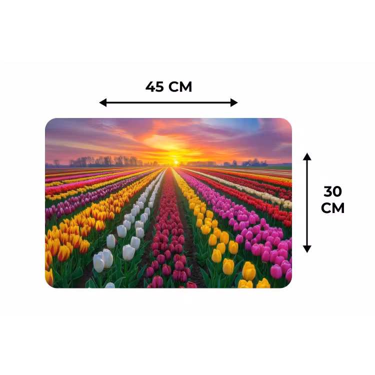Tulpenveld - Zonsondergang - Kleurrijk Placemat vinyl groot -specs