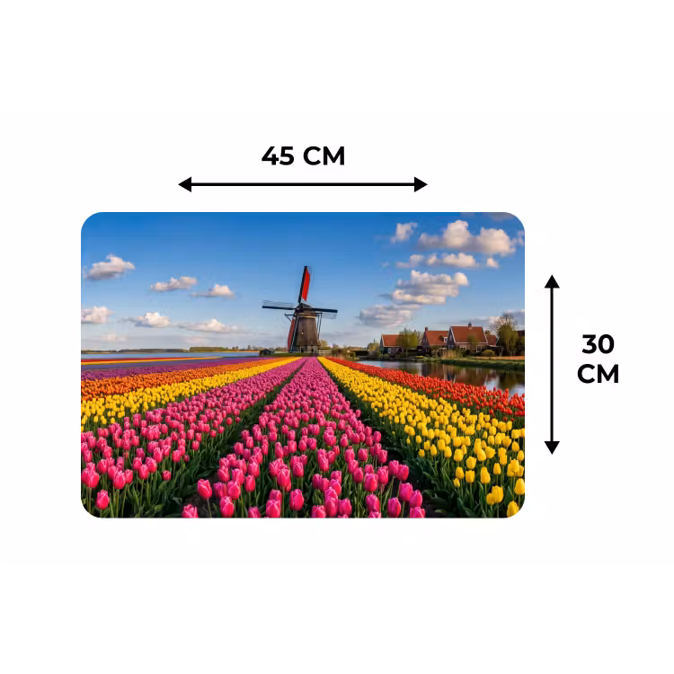 Tulpen - Holland - Molen - Kleurrijk Placemat vinyl groot -specs