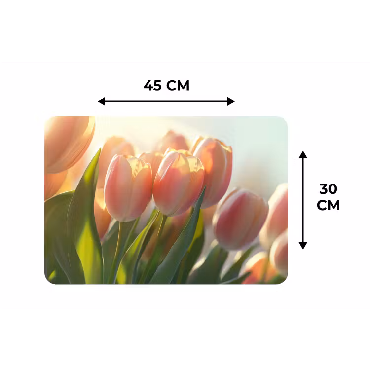 Tulpen - Roze - Zonnestralen Placemat vinyl groot -specs
