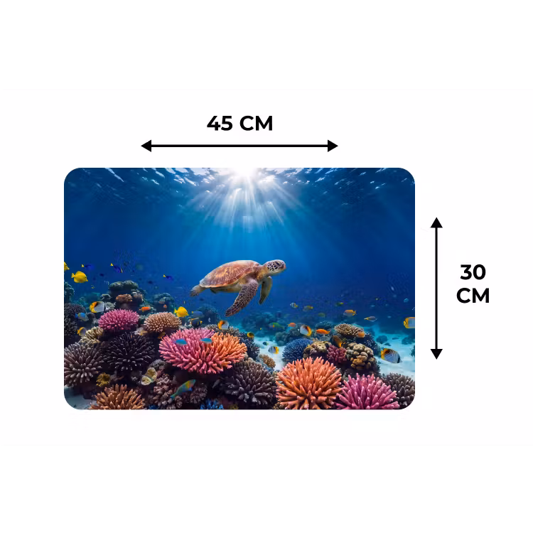 Schildpad - Koraalrif - Oceaan - Dieren - Blauw Placemat vinyl groot -specs