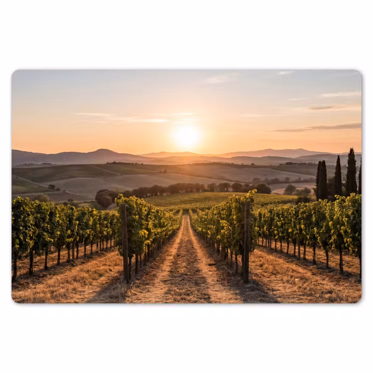 Wijngaard - Zonsondergang - Landschap Placemat vinyl groot -zzsfeer1_Kitchenyeah-website