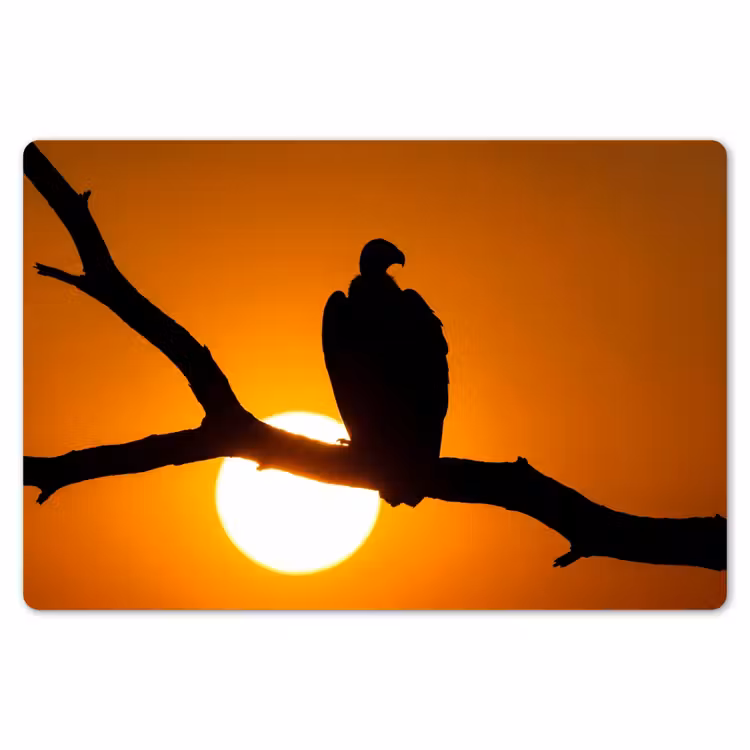 Gier - Tak - Zon - Oranje Placemat vinyl groot -zzsfeer1_Kitchenyeah-website