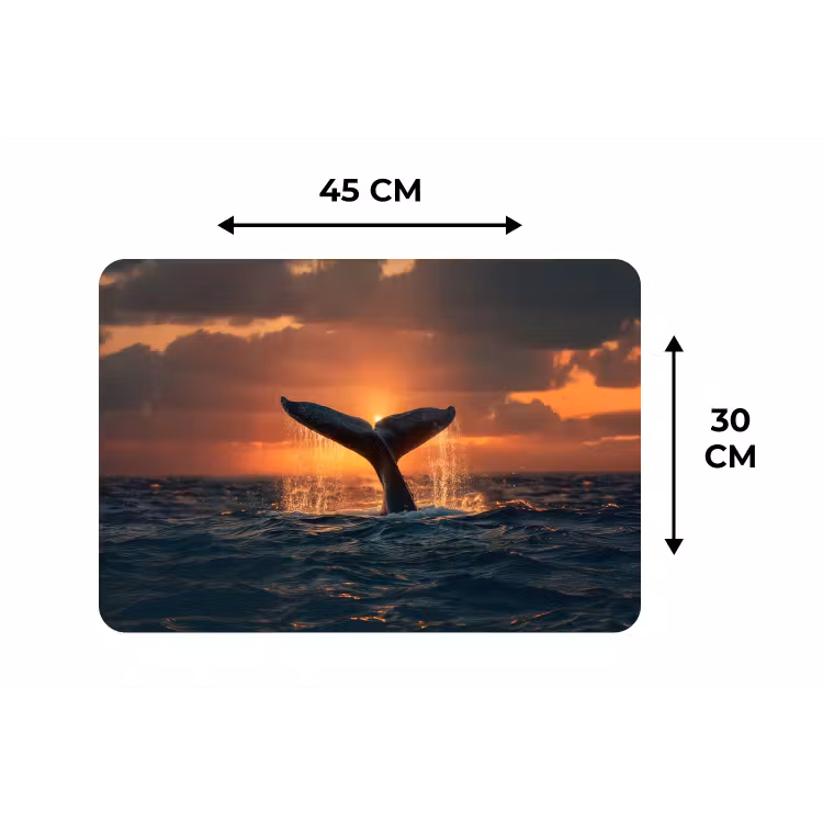 Walvis staart - Water - Zonsondergang Placemat vinyl groot -specs