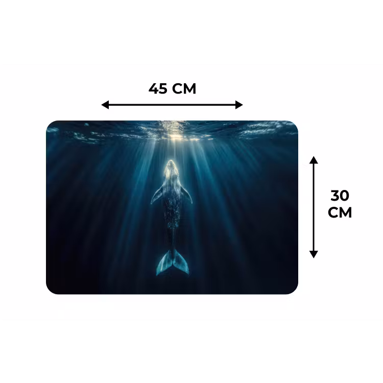 Walvis - Water - Zonnestralen - Blauw Placemat vinyl groot -specs