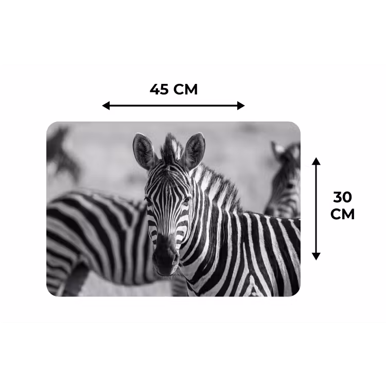 Zebra's - Zwart - Wit Placemat vinyl groot -specs
