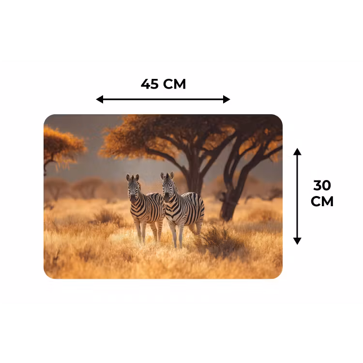 Zebra's - Savannelandschap - Gras Placemat vinyl groot -specs