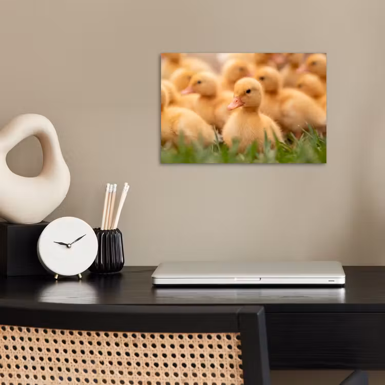 Pijltje - Eend - Natuur - Geel poster papier klein -sfeer1