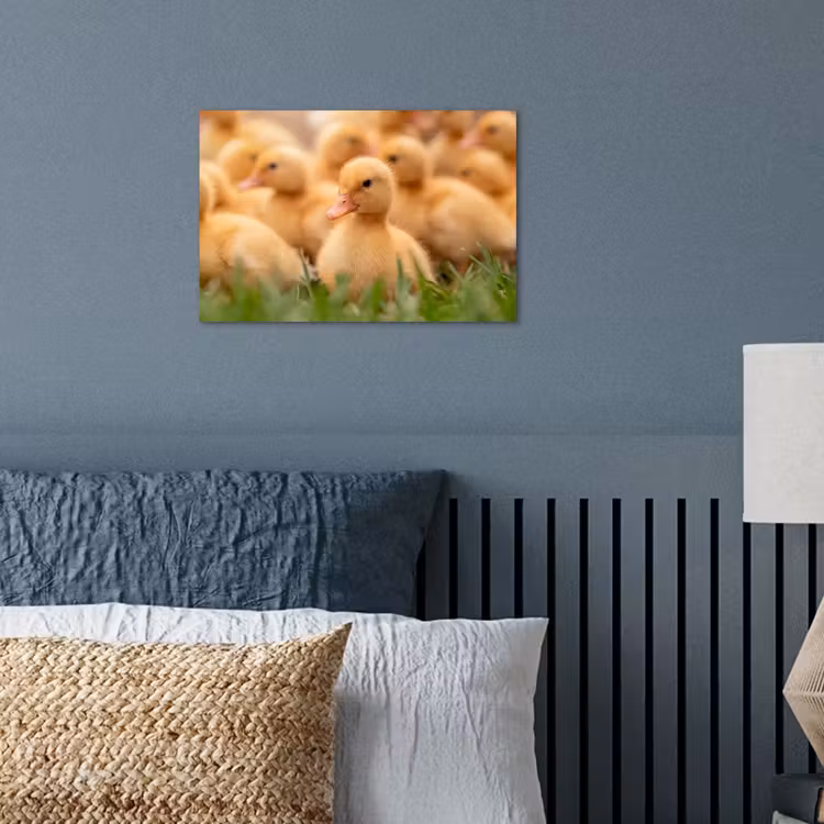 Pijltje - Eend - Natuur - Geel poster papier klein -sfeer2
