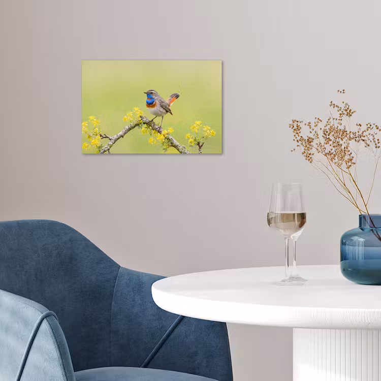 Vogel - Tak - Natuur - Kleurrijk poster papier klein -sfeer3
