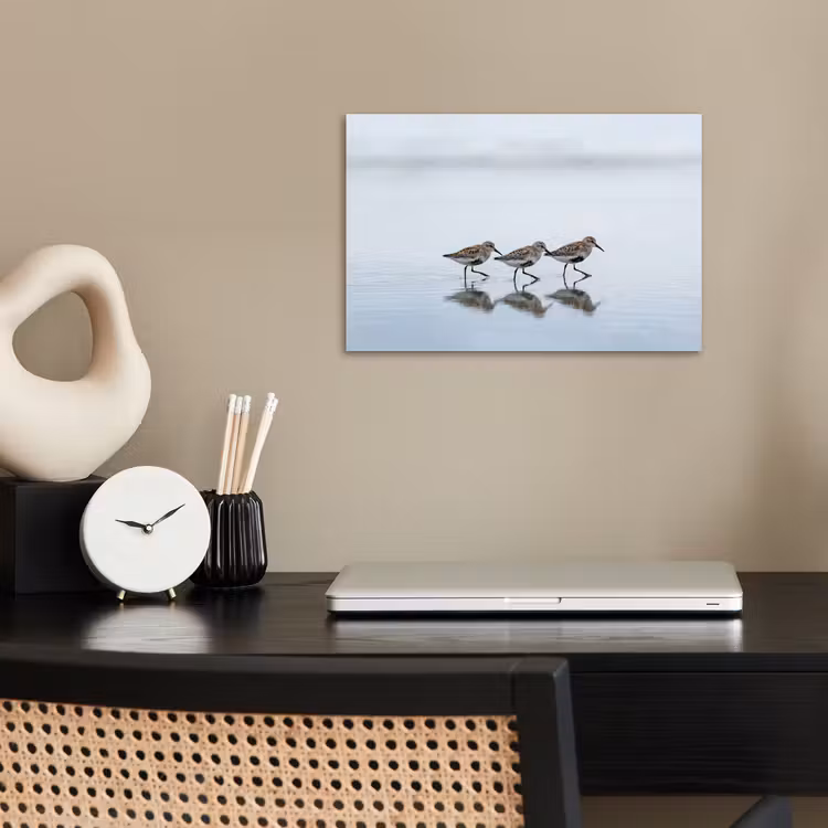Vogels - Water - Grijs poster papier klein -sfeer1