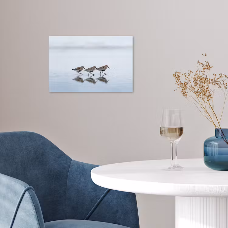 Vogels - Water - Grijs poster papier klein -sfeer3
