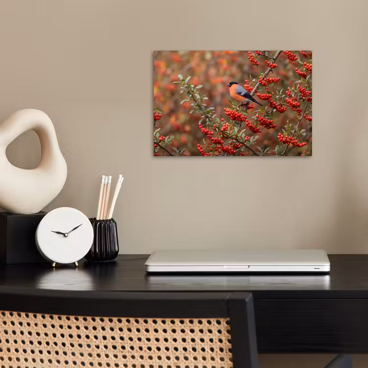 Goudvink - Bessen - Herfst - Natuur - Kleurrijk poster papier klein -sfeer1