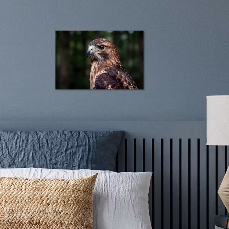 Buizerd - Roofvogel - Natuur - Bruin poster papier klein -sfeer2