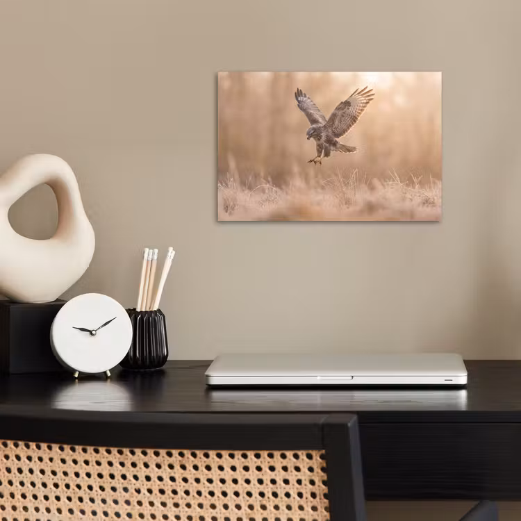 Buizerd - Roofvogel - Natuur - Bruin poster papier klein -sfeer1