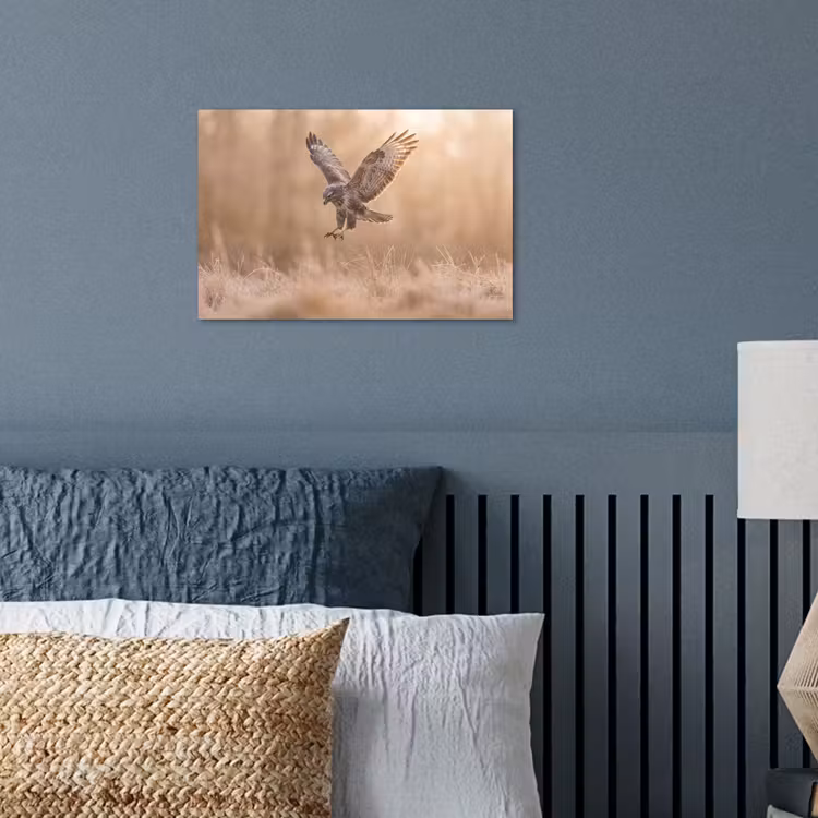 Buizerd - Roofvogel - Natuur - Bruin poster papier klein -sfeer2