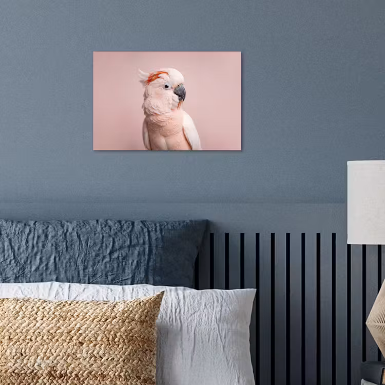 Kaketoe - Portret - Roze poster papier klein -sfeer2