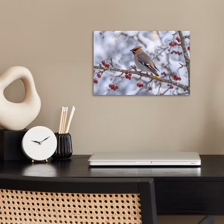 Pestvogel - Bessen - Winter - Natuur poster papier klein -sfeer1