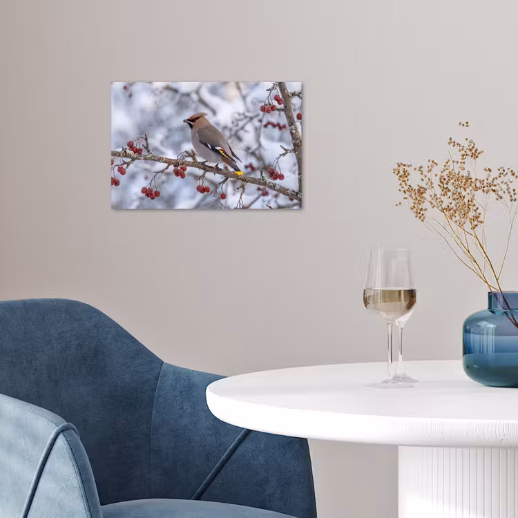 Pestvogel - Bessen - Winter - Natuur poster papier klein -sfeer3