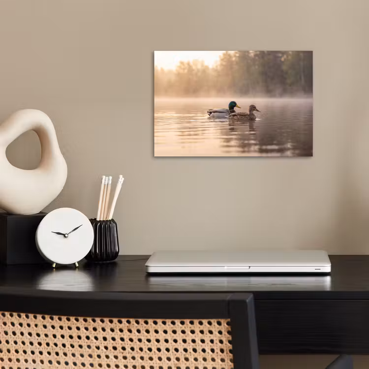 Eenden - Water - Mist - Natuur poster papier klein -sfeer1