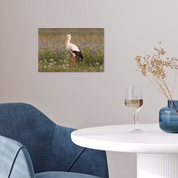 Ooienvaar - Bloemen - Weide - Kleurrijk poster papier klein -sfeer3
