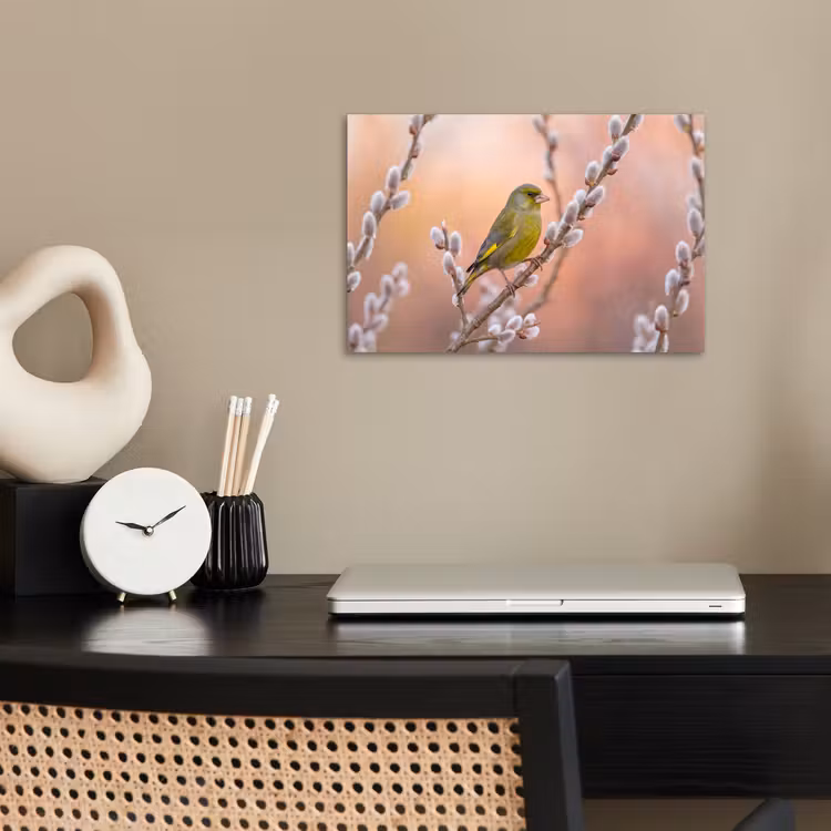 Groenling - Katjes - Lente - Natuur - Zacht poster papier klein -sfeer1
