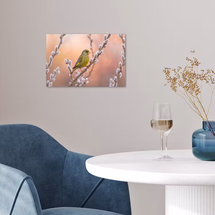 Groenling - Katjes - Lente - Natuur - Zacht poster papier klein -sfeer3