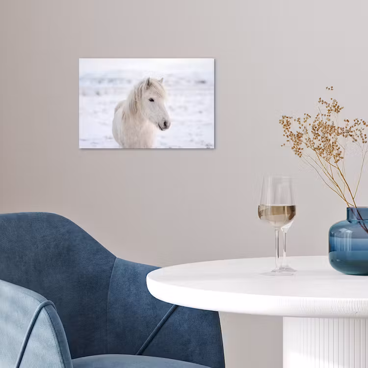 Paard - Kop - Winter - Dieren - Wit poster papier klein -sfeer3