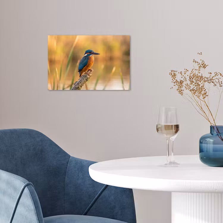 IJsvogel - Tak - Water - Kleurrijk - Levendig poster papier klein -sfeer3