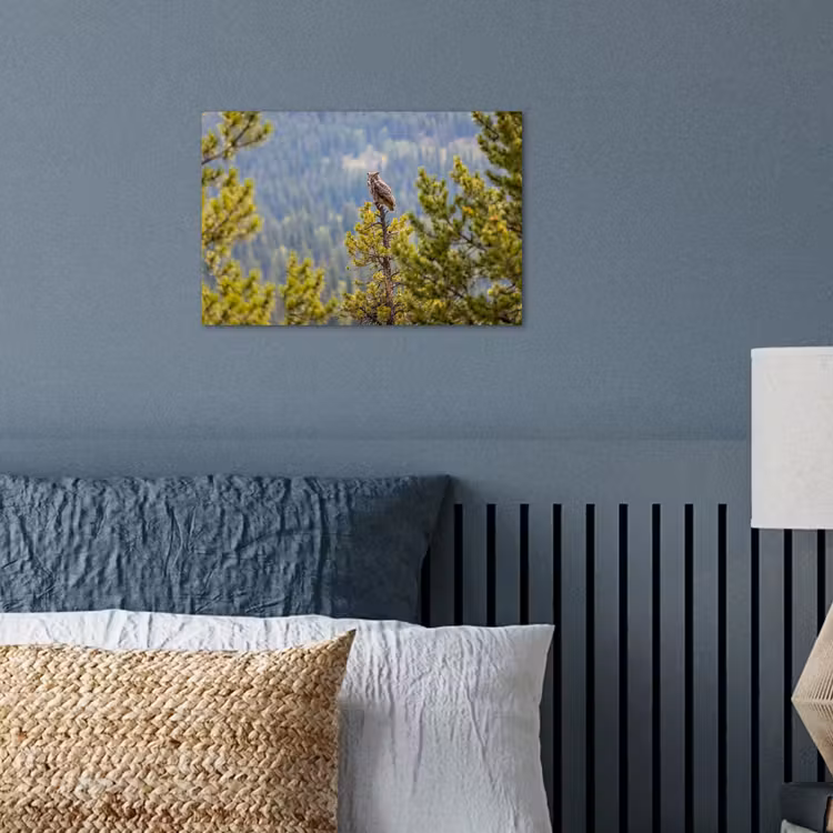 Uil - Oehoe - Bomen - Natuur poster papier klein -sfeer2