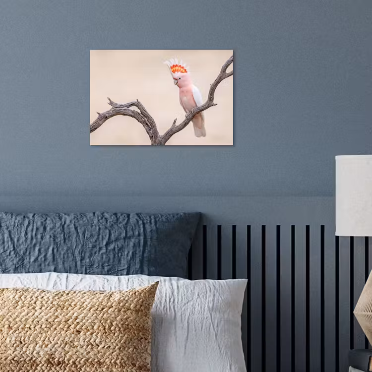 Papagaai - Tak - Roze poster papier klein -sfeer2