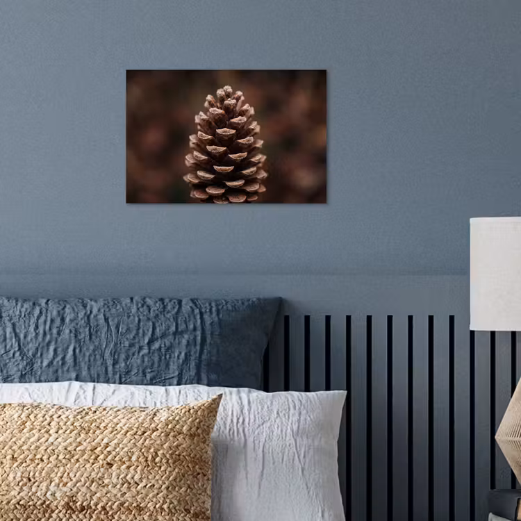 Dennenappel - Bos - Herfst - Bruin - Sfeervol poster papier klein -sfeer2