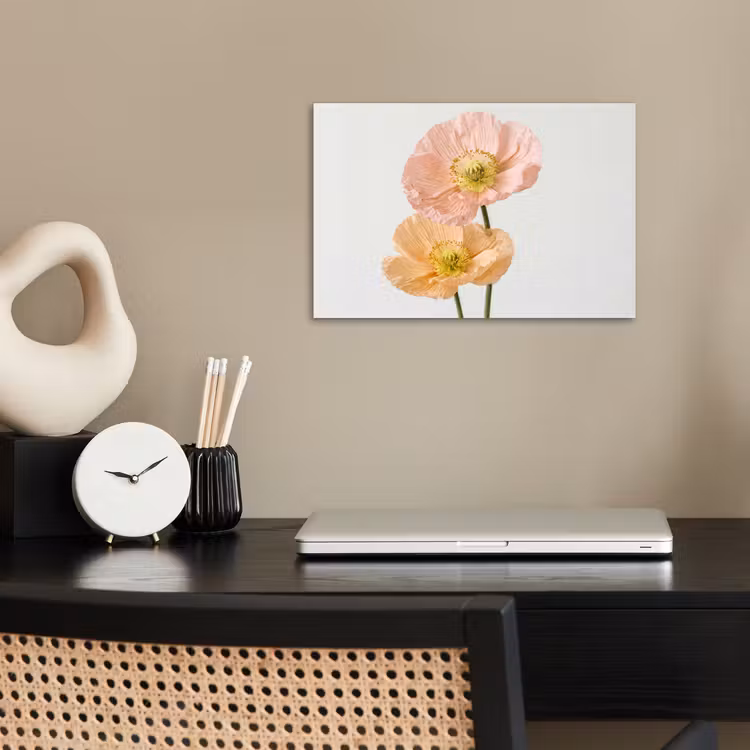 Papavers - Botanisch - Roze poster papier klein -sfeer1