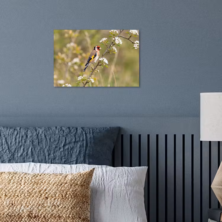 Putter - Bloesem - Lente - Natuur - Kleurrijk poster papier klein -sfeer2