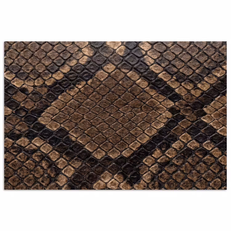 Python - Schubben - Brons poster papier klein -3d
