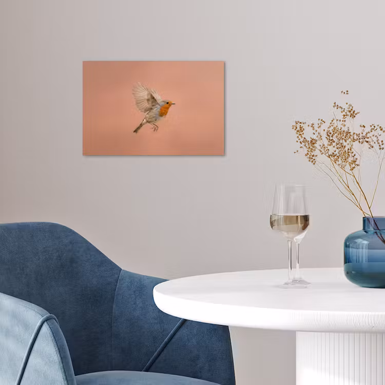 Roodborst - Natuur - Roze poster papier klein -sfeer3