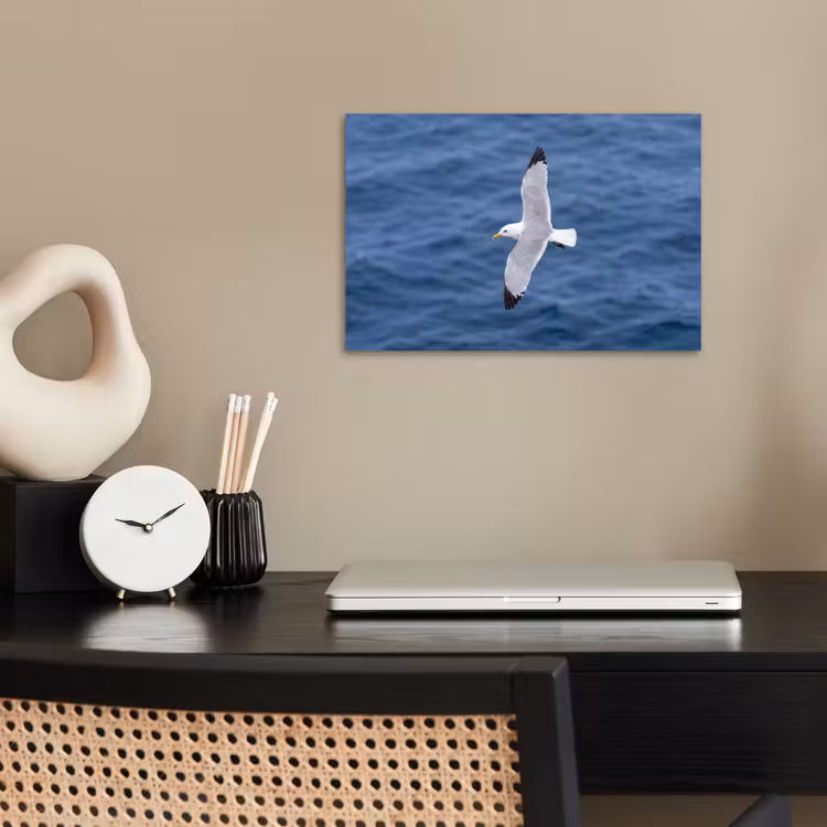 Zeemeeuw - Oceaan - Blauw poster papier klein -sfeer1